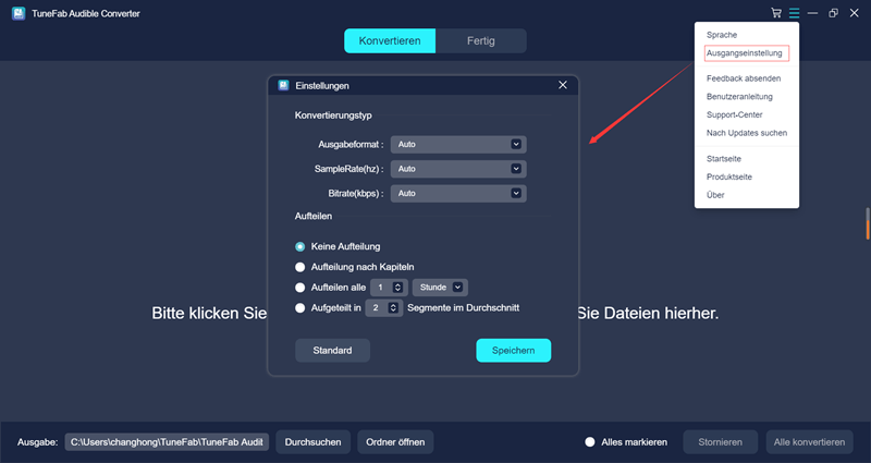 Audible Converter Einstellungen