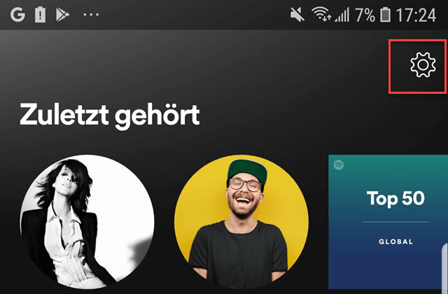 Spotify Oberfläche Einstellungen