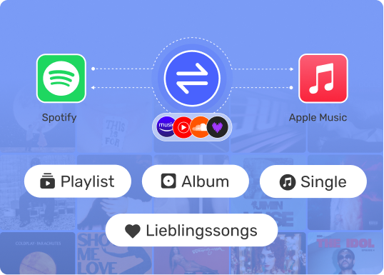 Inklusive Playlist Transfer