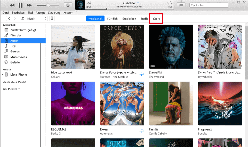 iTune Store auf PC