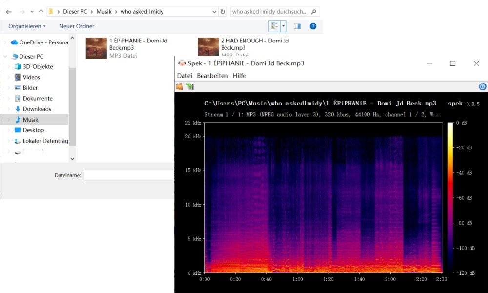 320-kbit-s-MP3-Ausgabe von AppleMusicMp3 Downloader überprüfen