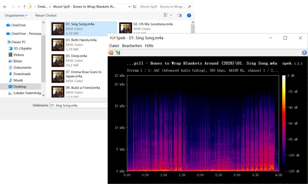M4A-Ausgabe von am-dl-Downloader überprüfen