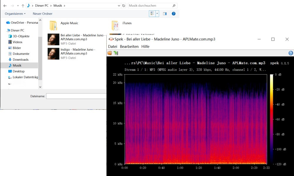 320-kbit-s-MP3-Ausgabe von APLMate überprüfen