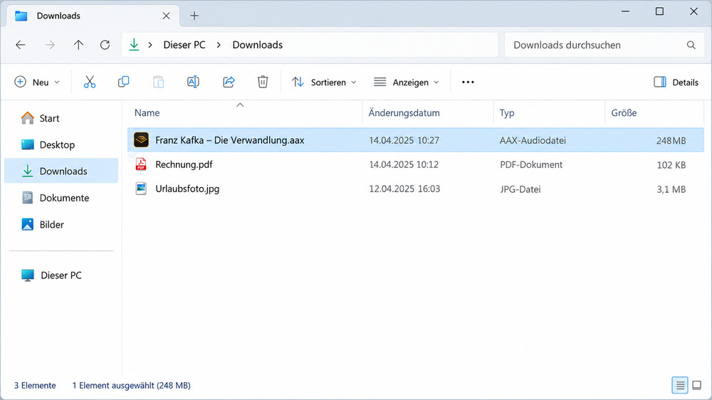 Heruntergeladene Audible-AAX-Datei im Downloadordner finden