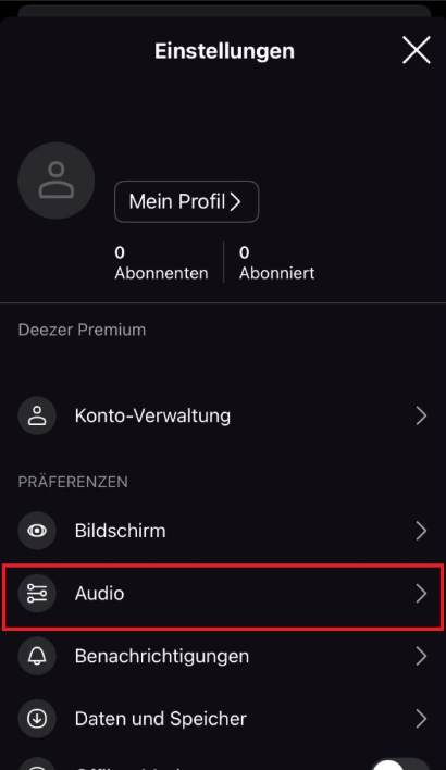 Audio in Einstellung wählen