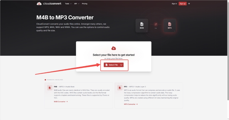 Auf die Option „Select File“ klicken