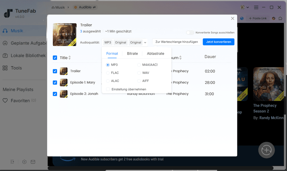 Ausgabeformat für das Hörbuch auswählen