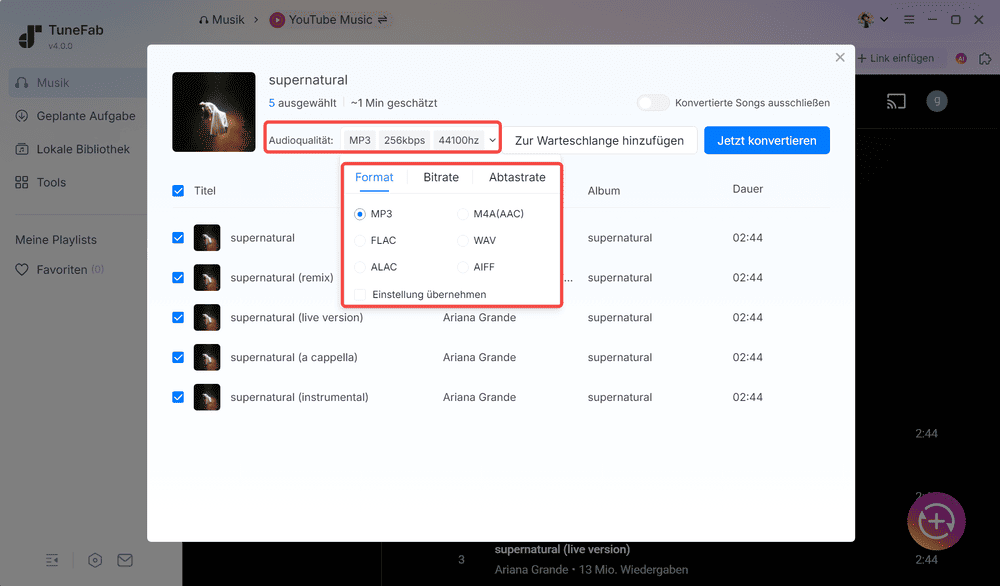 Ausgabeformat von YouTube Musik auswählen