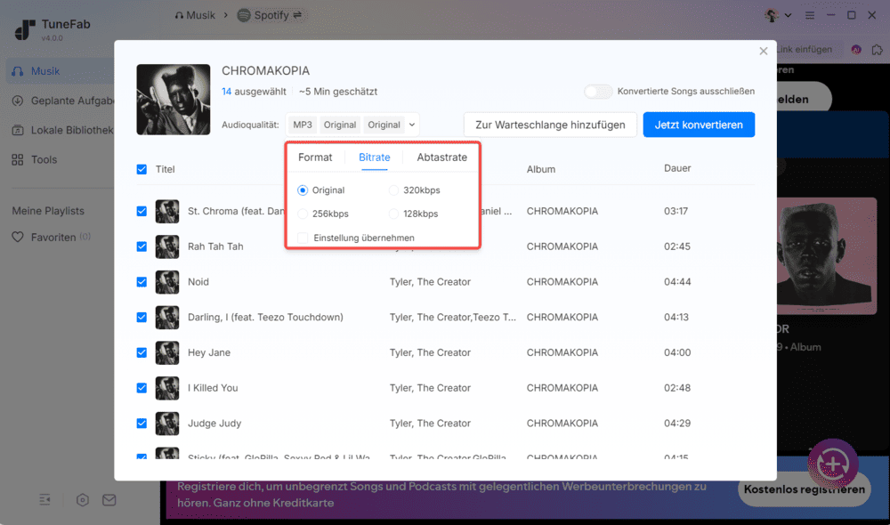 Einstellbare Ausgangseinstellungen von TuneFab