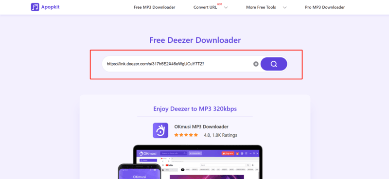 Deezer-Link in Apopkit Online Deezer MP3 Downloader einfügen