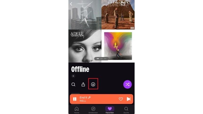 Auf Download-Symbol klicken