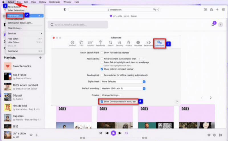 Develop Menu in Safari aktivieren