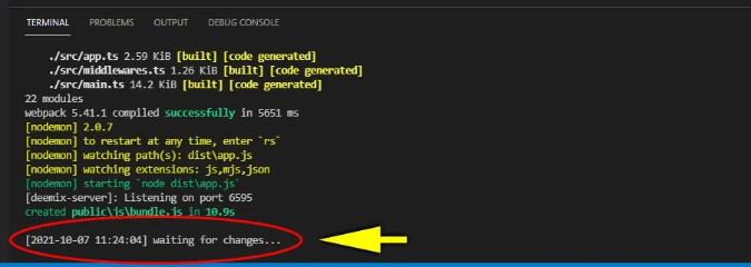 Die Anwendung mit dem dev-Script starten