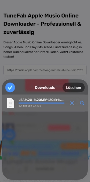 Heruntergeladene Datei im Browser-Downloadbereich finden