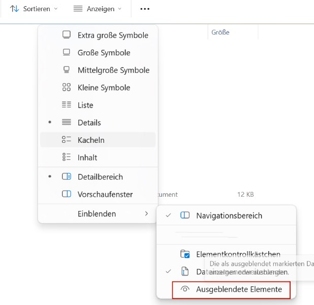 Die Option Ausgeblendete Elemente aktivieren
