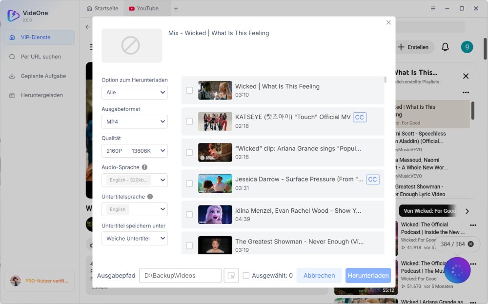 Download-Einstellungen für YouTube-Playlist festlegen