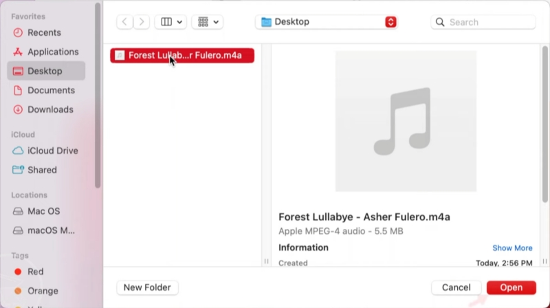 Importieren lokale Musikdateien in Apple Music auf Mac