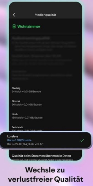 in Spotify auf Lossless klicken