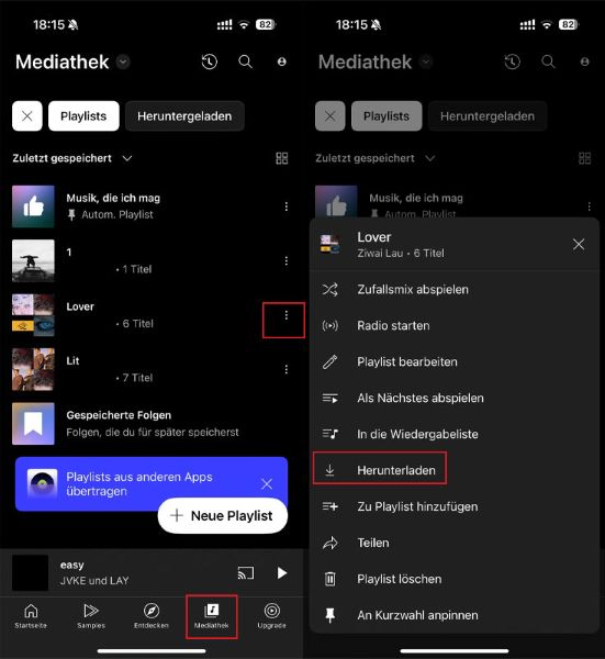 Mediathek YouTube Music Playlist herunterladen in der App