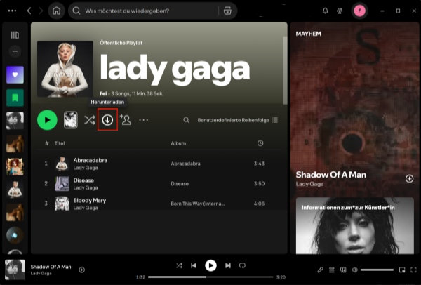 Mit Premium Spotify Musik auf PC speichern