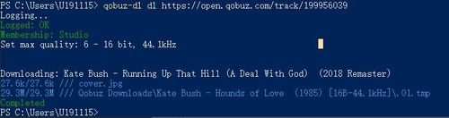 Mit Qobuz-dl Musik als FLAC downloaden