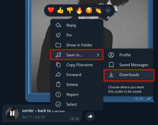 mit Telegram Spotifty als FLAC speichern