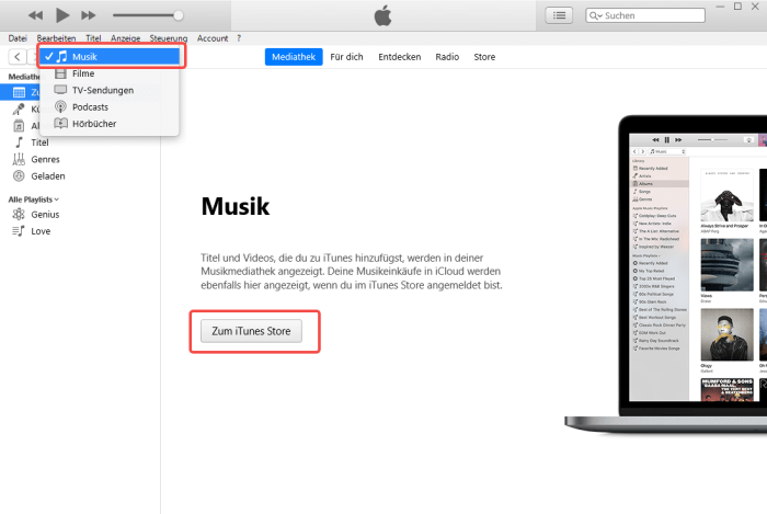Musik von iTunes Store auf iTunes finden