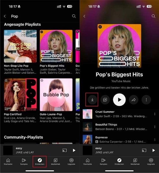 Online YouTube Music Playlist herunterladen in der App