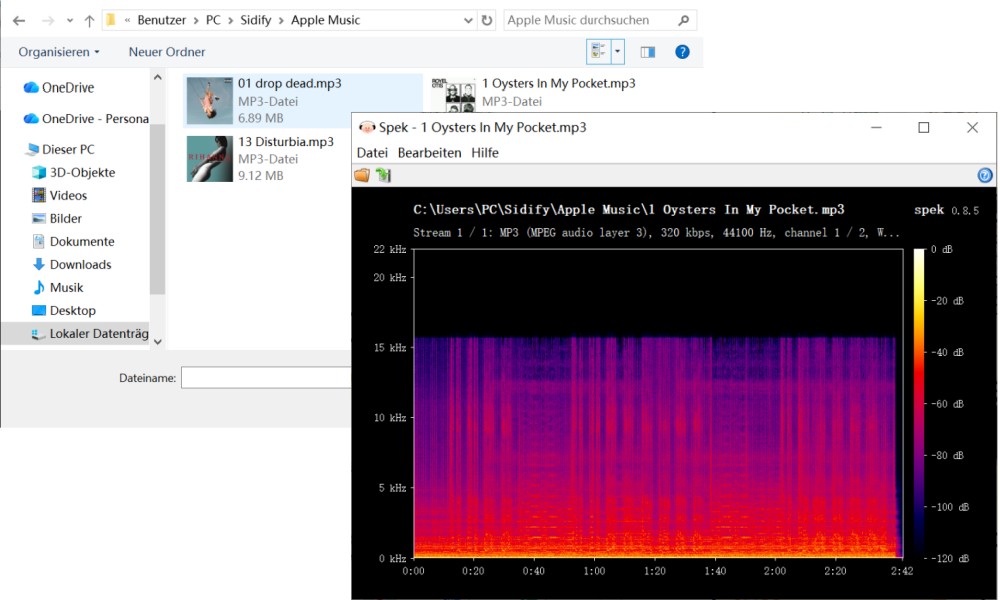 320-kbit-s-MP3-Ausgabe von Sidify überprüfen