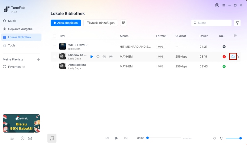Speicherordner in TuneFab finden