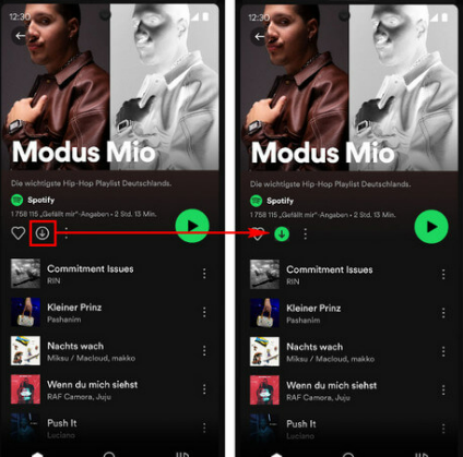 Spotify herunterladen