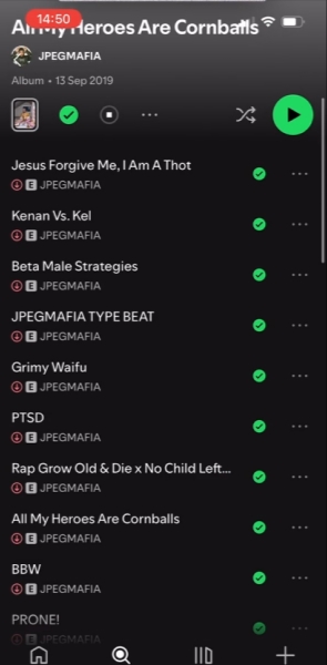Spotify lädt nicht runter