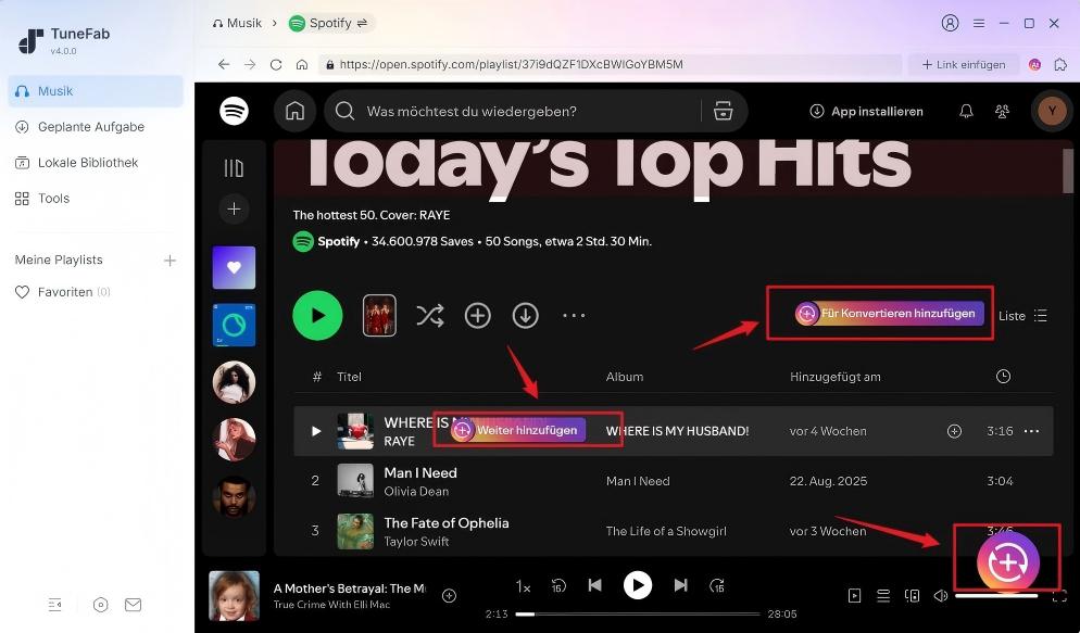 Spotify Songs für Konvertieren hinzufügen