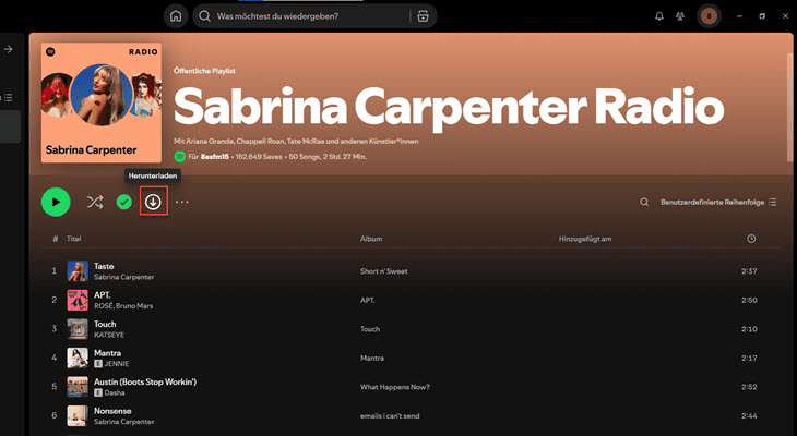 Spotify-Playlist auf PC herunterladen