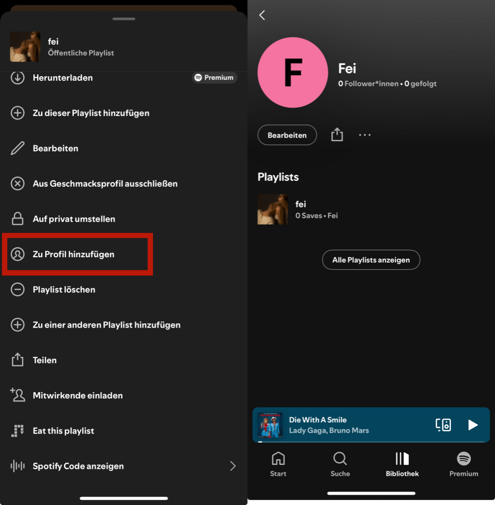 Spotify Playlists zu Profil hinzufügen