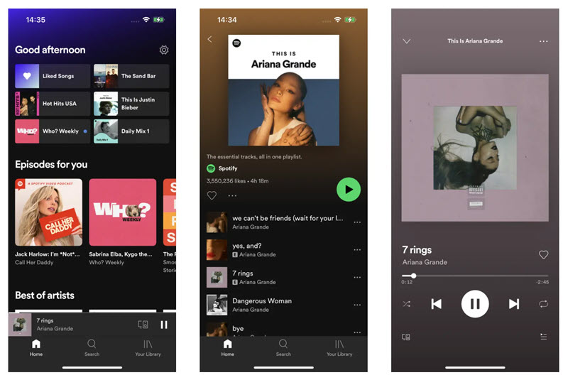 Die Oberfläche von Spotify++
