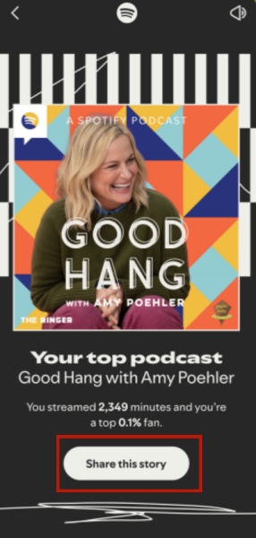 Spotify Wrapped teilen