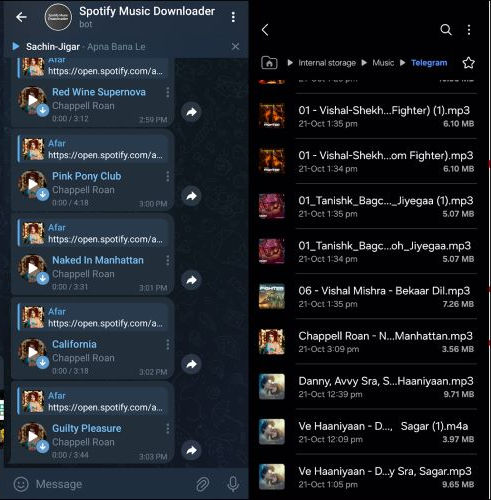 Telegram Bot SpotifyMusicDownloaderBot für Spotify-Playlist Download