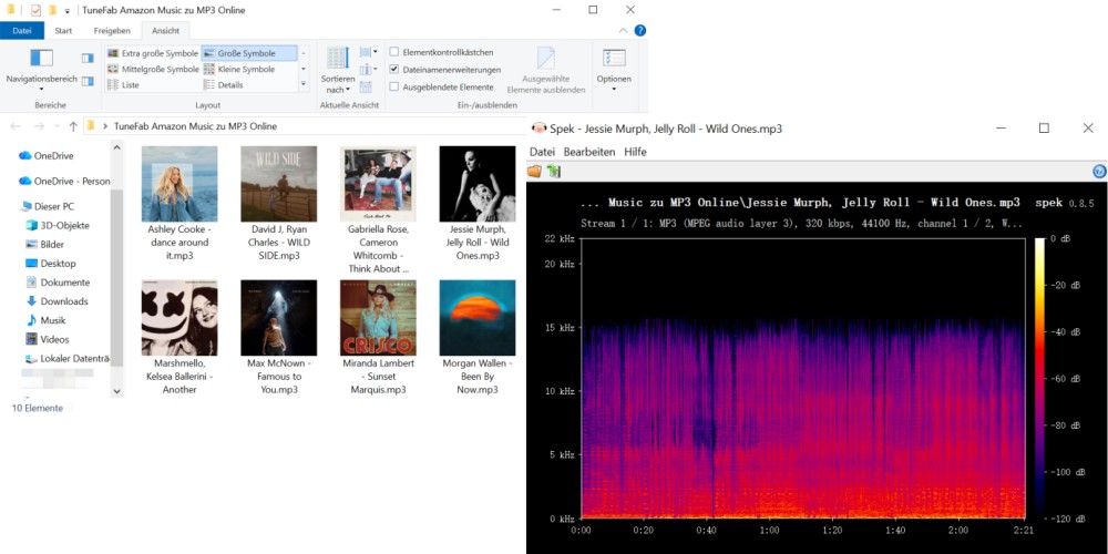 Spek-Analyse der MP3-Ausgabequalität von TuneFab Online