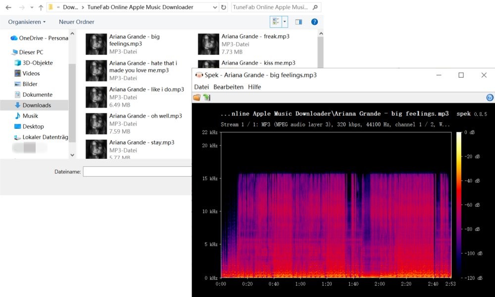 320-kbit-s-MP3-Ausgabe von TuneFab Online überprüfen