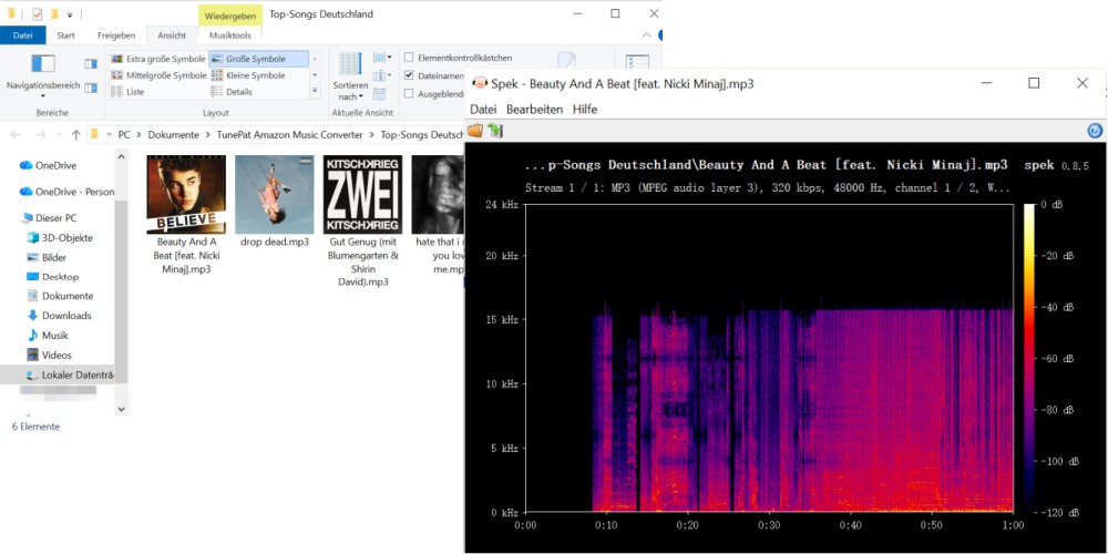 Spek-Analyse der MP3-Ausgabequalität von TunePat