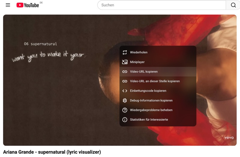 Video-URL von YouTube kopieren