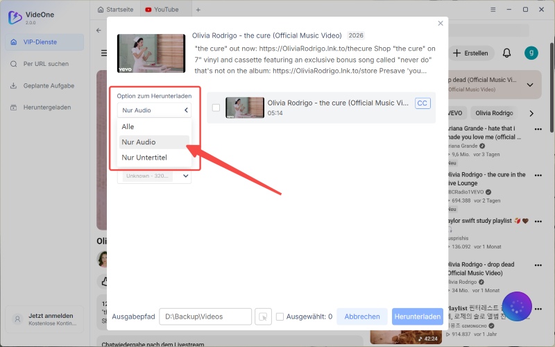 YouTube-Video nur als Audio MP3 herunterladen