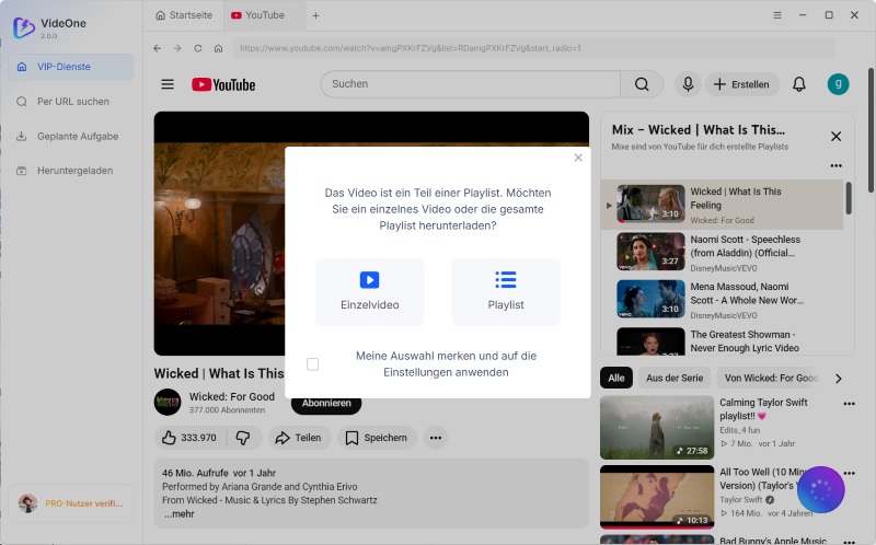 YouTube-Video oder Playlist auswählen
