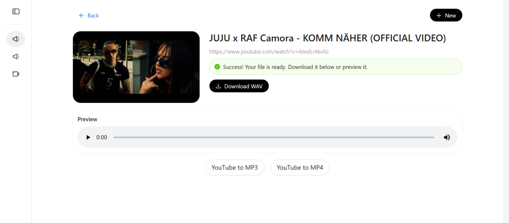 YouTubeToWAV Converter