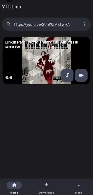 YTDLnis YouTube Audio Downloader